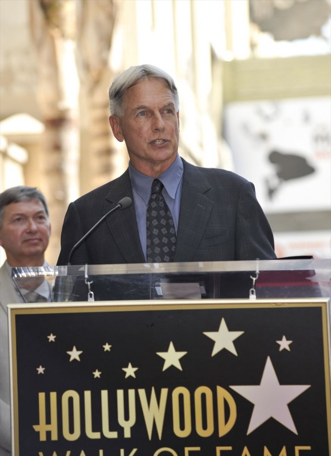 Mark Harmon　マーク・ハーモン