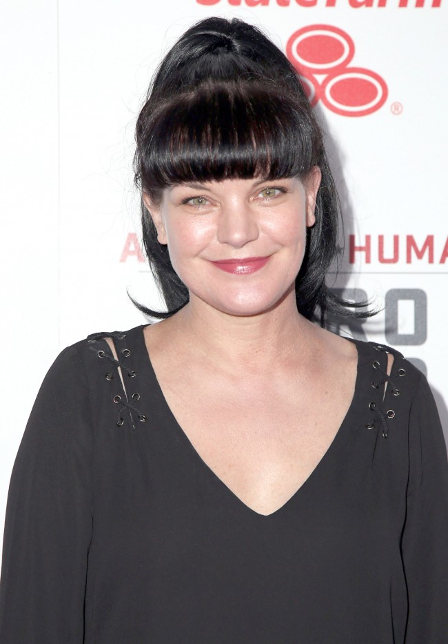 ポーリー・ペレット、Pauley Perrette