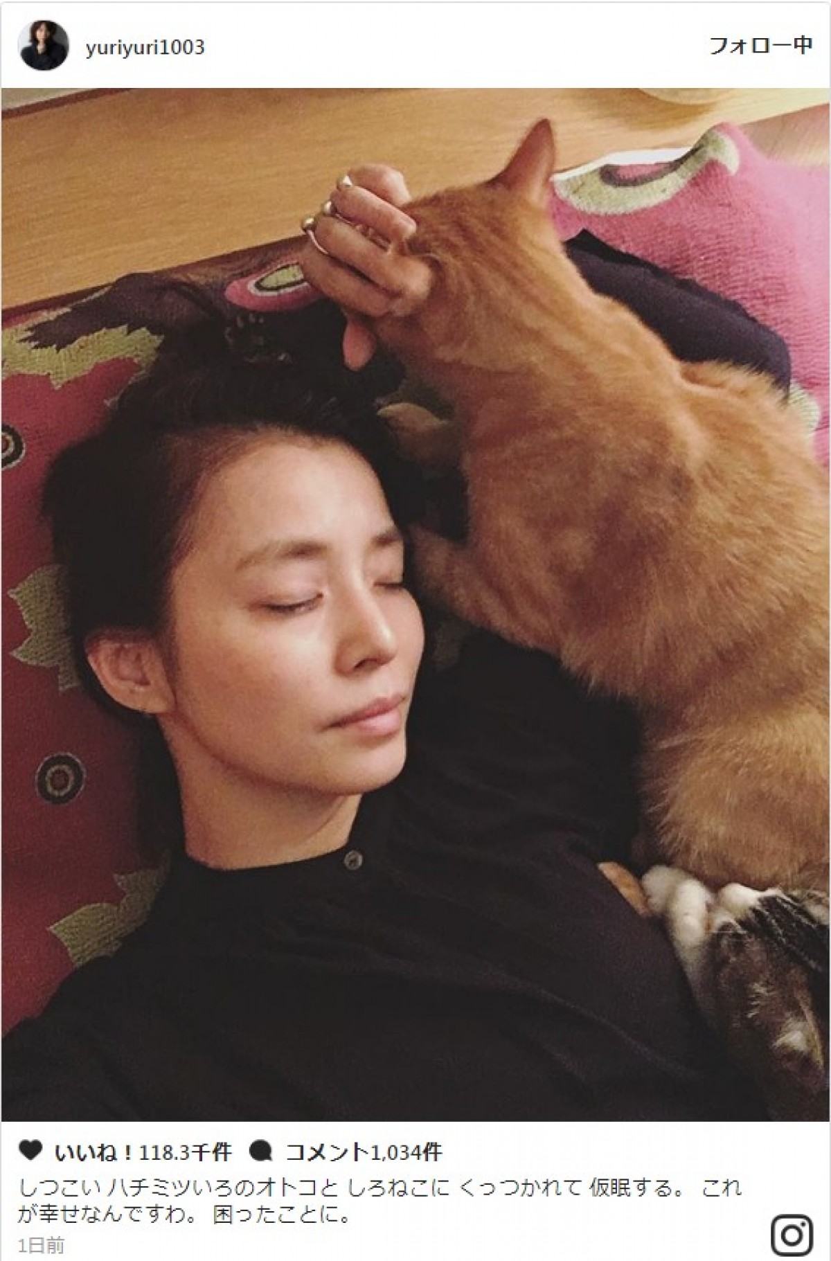 石田ゆり子、愛猫たちに囲まれ仮眠をとる姿を公開 ※「石田ゆり子」インスタグラム