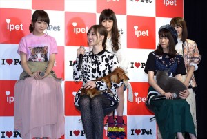 乃木坂46、『アイペット損保 WEB CM発表会』に登壇