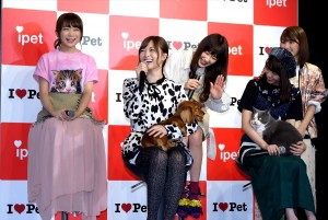 乃木坂46、『アイペット損保 WEB CM発表会』に登壇