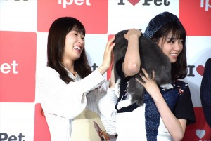乃木坂46、『アイペット損保 WEB CM発表会』に登壇