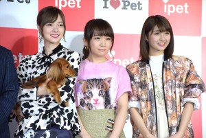 乃木坂46、『アイペット損保 WEB CM発表会』に登壇