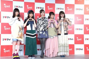 乃木坂46、『アイペット損保 WEB CM発表会』に登壇