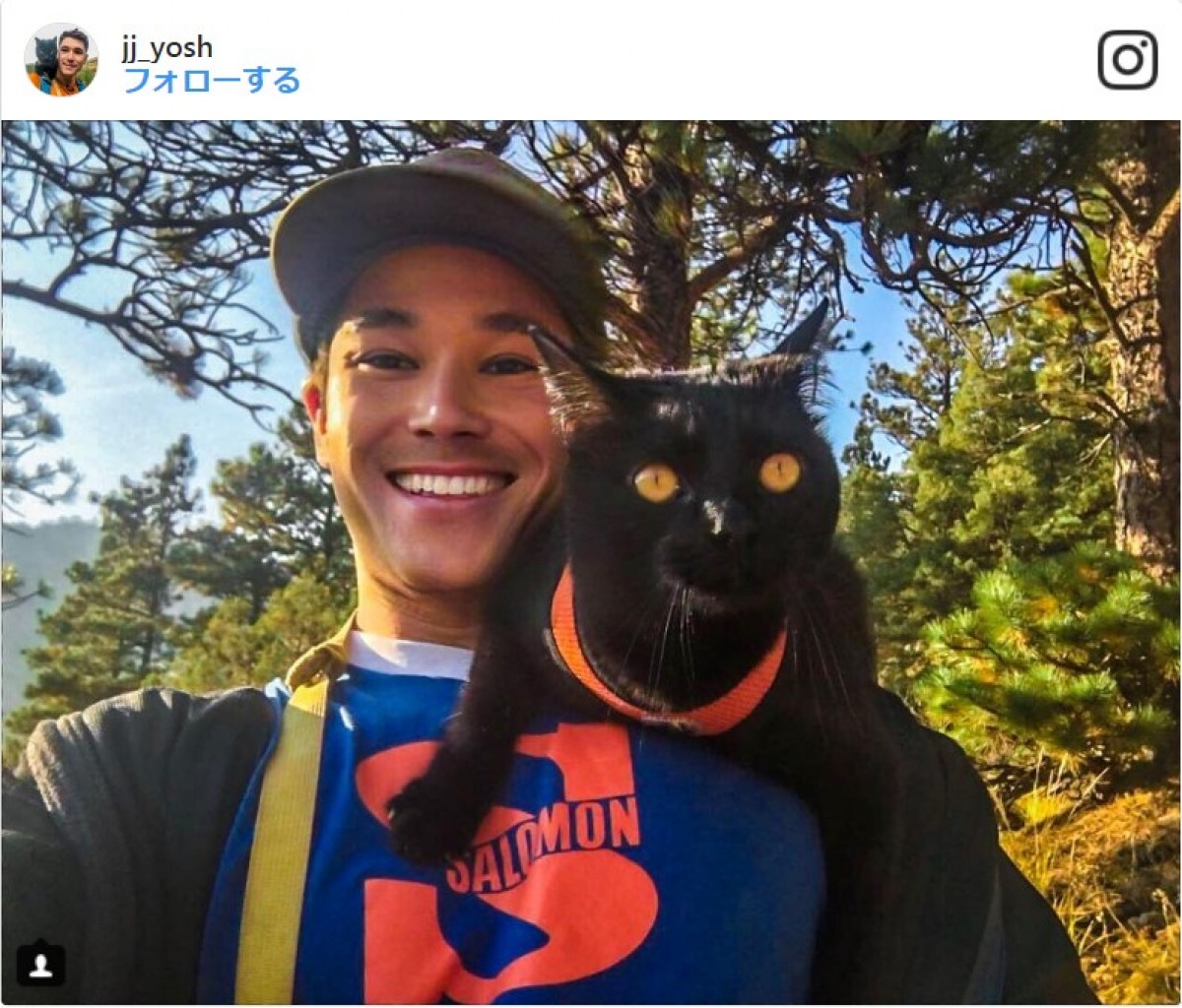 キャンプ仲間はにゃんこ！イケメン＆美猫が大自然を行く