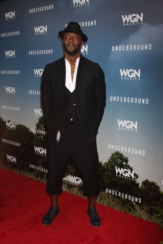 オルディス・ホッジ、Aldis Hodge