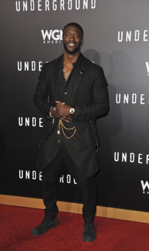 オルディス・ホッジ