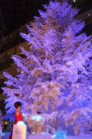 「WHITE KITTE」WHITE Tree ライトアップセレモニーに登場した深田恭子