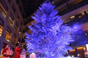 「WHITE KITTE」WHITE Tree ライトアップセレモニーに登場した深田恭子