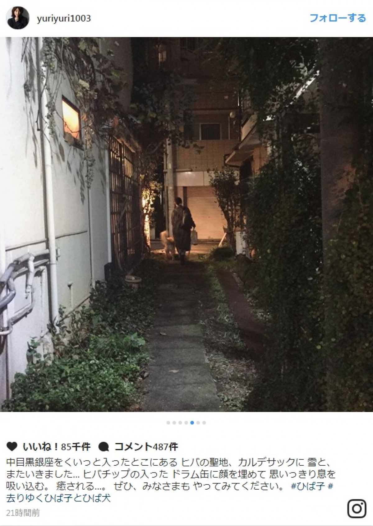 石田ゆり子の“謎の行動”が話題に「ドラム缶に顔を埋めて…癒される…」