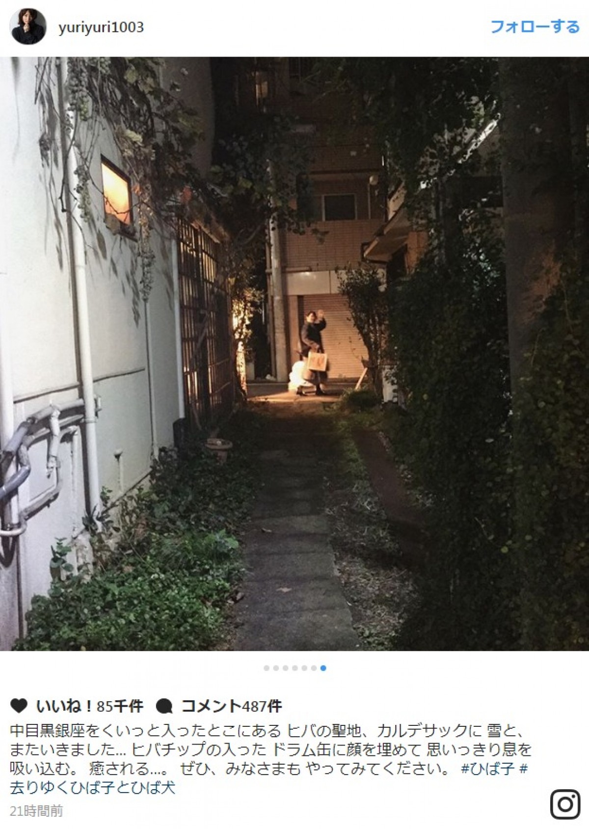 石田ゆり子の“謎の行動”が話題に「ドラム缶に顔を埋めて…癒される…」