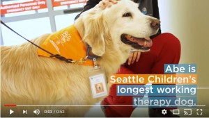こども病院のセラピー犬が引退　優しさ溢れるお疲れ様パーティ　※「SeattleChildrens」ユーチューブ