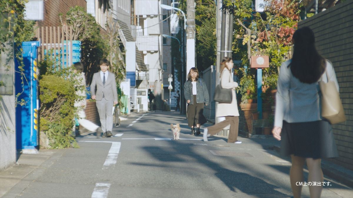 広瀬すず、年賀状作りはチワワに託す!? キュート過ぎるWEB動画公開