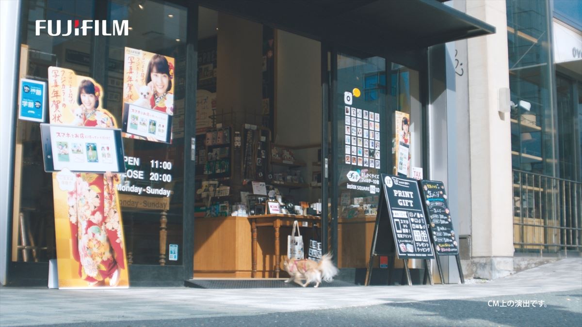 広瀬すず、年賀状作りはチワワに託す!? キュート過ぎるWEB動画公開