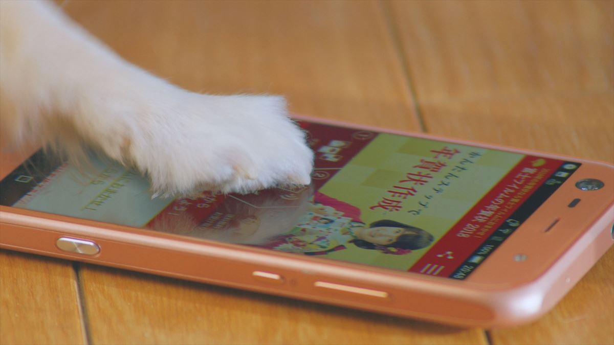 広瀬すず、年賀状作りはチワワに託す!? キュート過ぎるWEB動画公開
