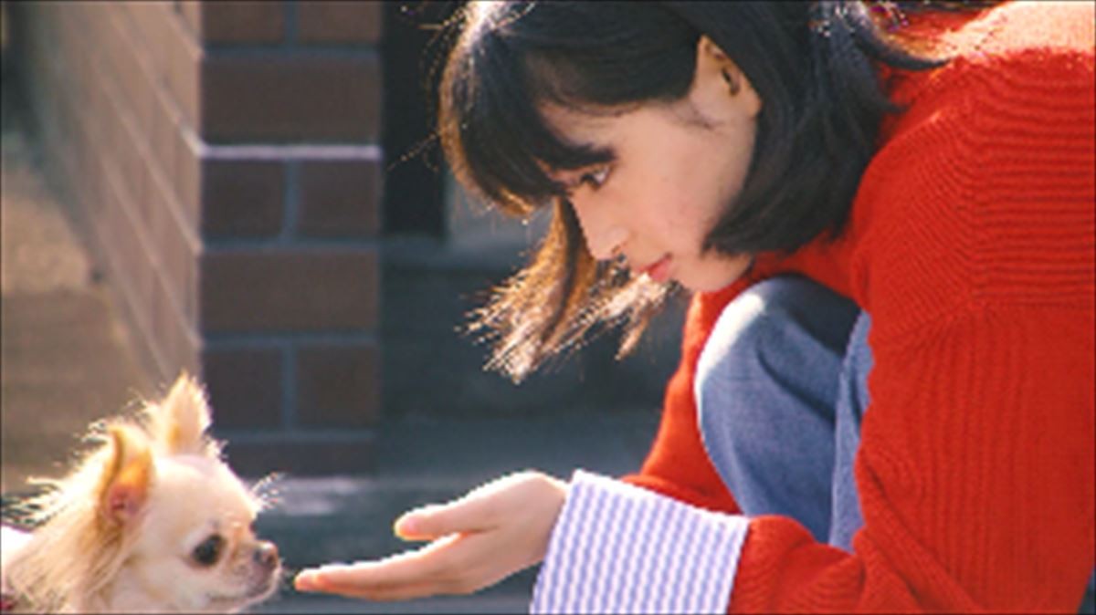 広瀬すず、年賀状作りはチワワに託す!? キュート過ぎるWEB動画公開