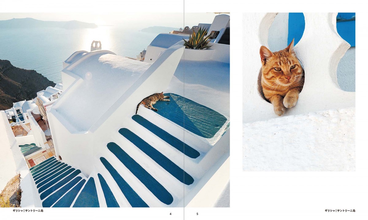 猫好きにはたまらない写真集『世界の街猫』発売！ パリの街角から、日本の離島まで