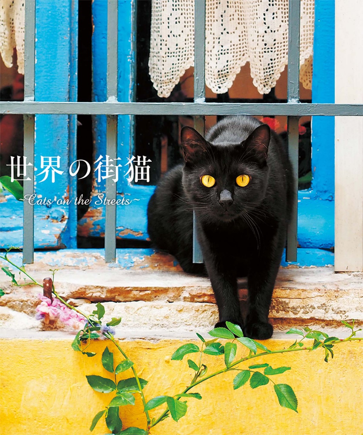 猫好きにはたまらない写真集『世界の街猫』発売！ パリの街角から、日本の離島まで