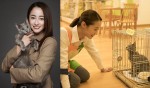 沢尻エリカ、6年ぶりの主演映画『猫は抱くもの』公開決定　元アイドルのレジ係役好演