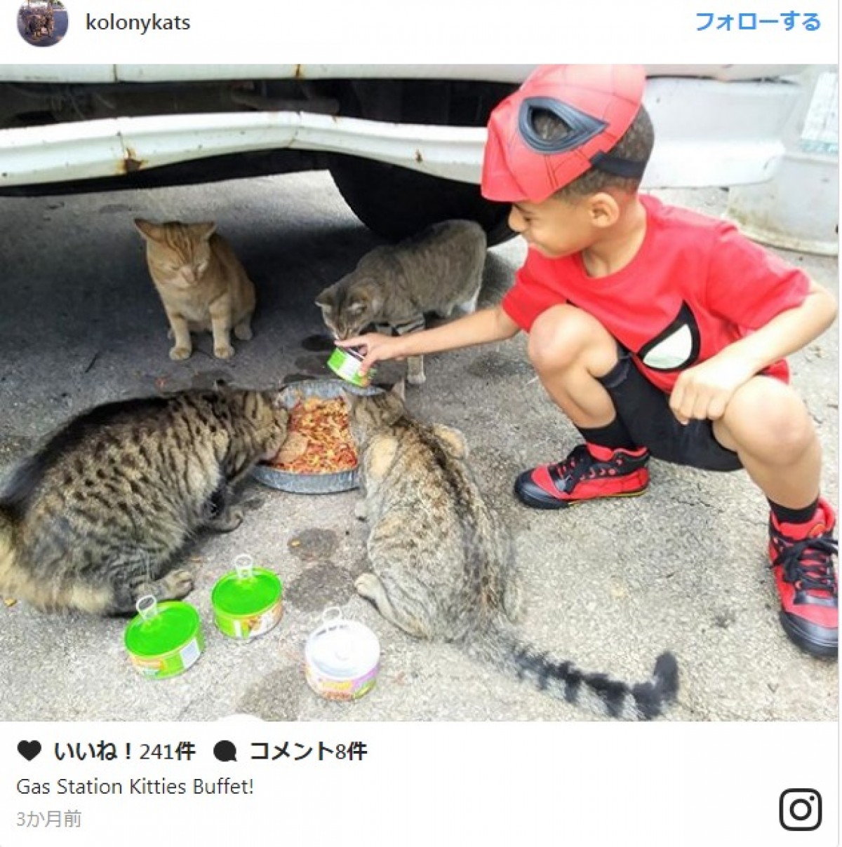 猫を世話するスーパーヒーロー「キャットマン」登場！　決め台詞は「猫に優しくね」