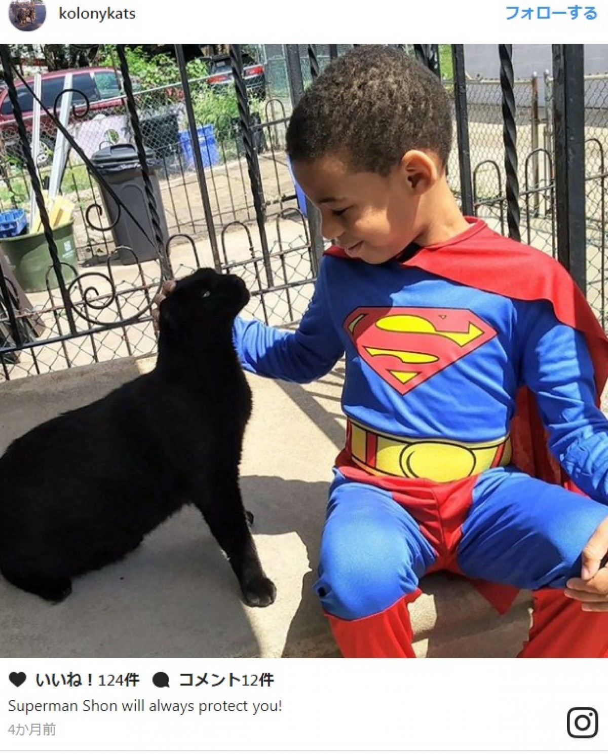 猫を世話するスーパーヒーロー「キャットマン」登場！　決め台詞は「猫に優しくね」