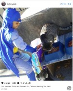 猫を世話するスーパーヒーロー「キャットマン」　（※「Kolony Kats」インスタグラム）