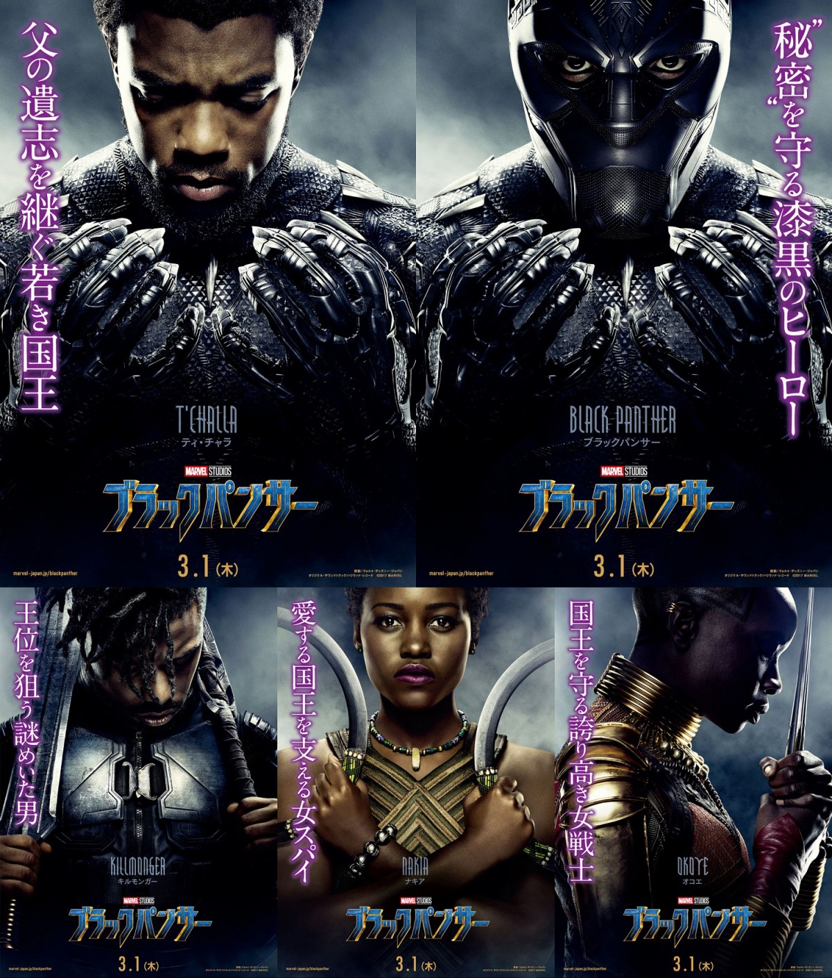 『ブラックパンサー』王とヒーロー、2つの顔を表現　漆黒のキャラクターポスター解禁