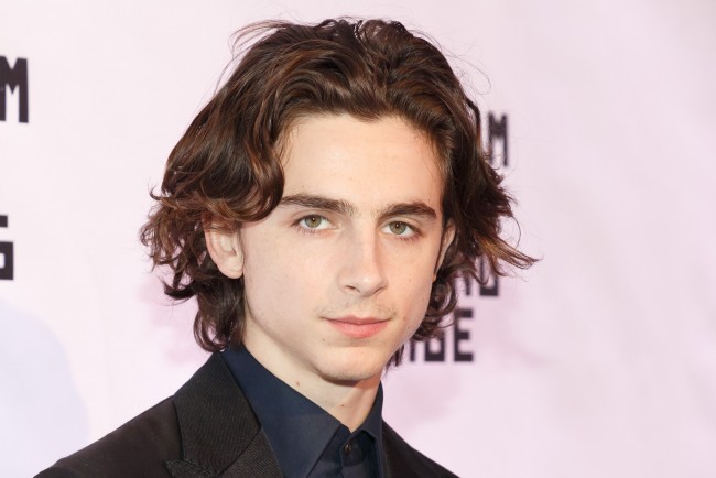 ティモシー・シャラメ、Timothee Chalamet