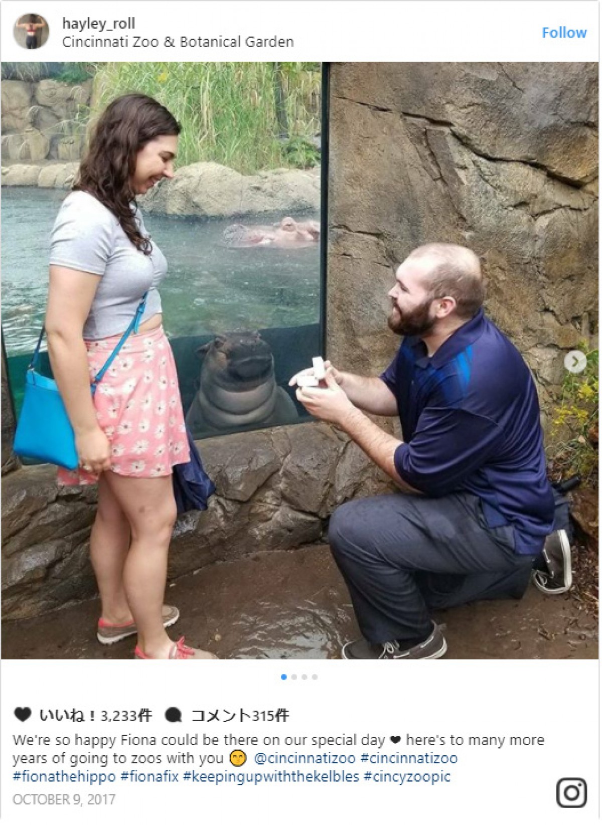 動物園でのプロポーズに映り込むカバの赤ちゃん ※ハーリー・ロールさんインスタグラムより