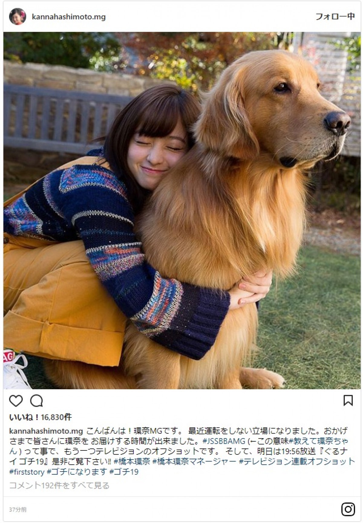 橋本環奈、犬に寄り添うツーショット披露に「千年に一枚の写真」