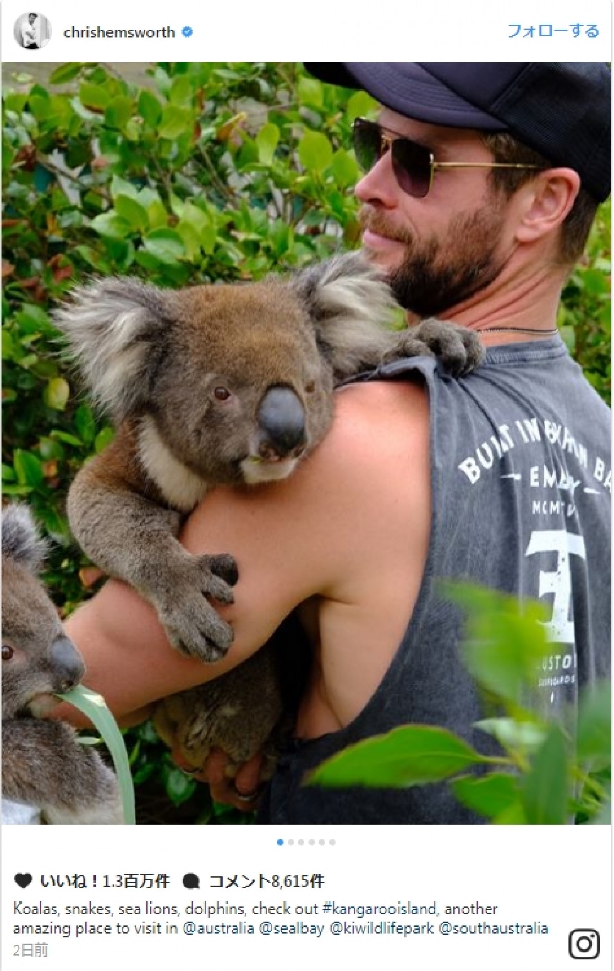 クリス・ヘムズワース、コアラを抱っこするショット披露　マッチョな釣り姿も話題に