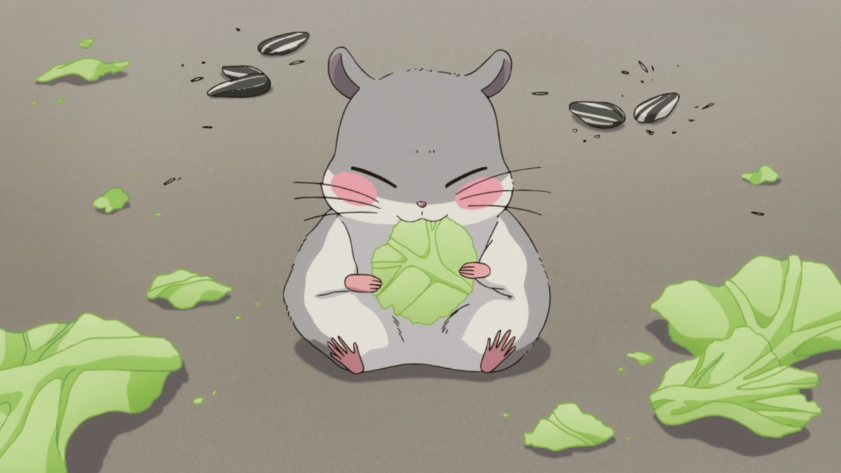 恋は雨上がりのように