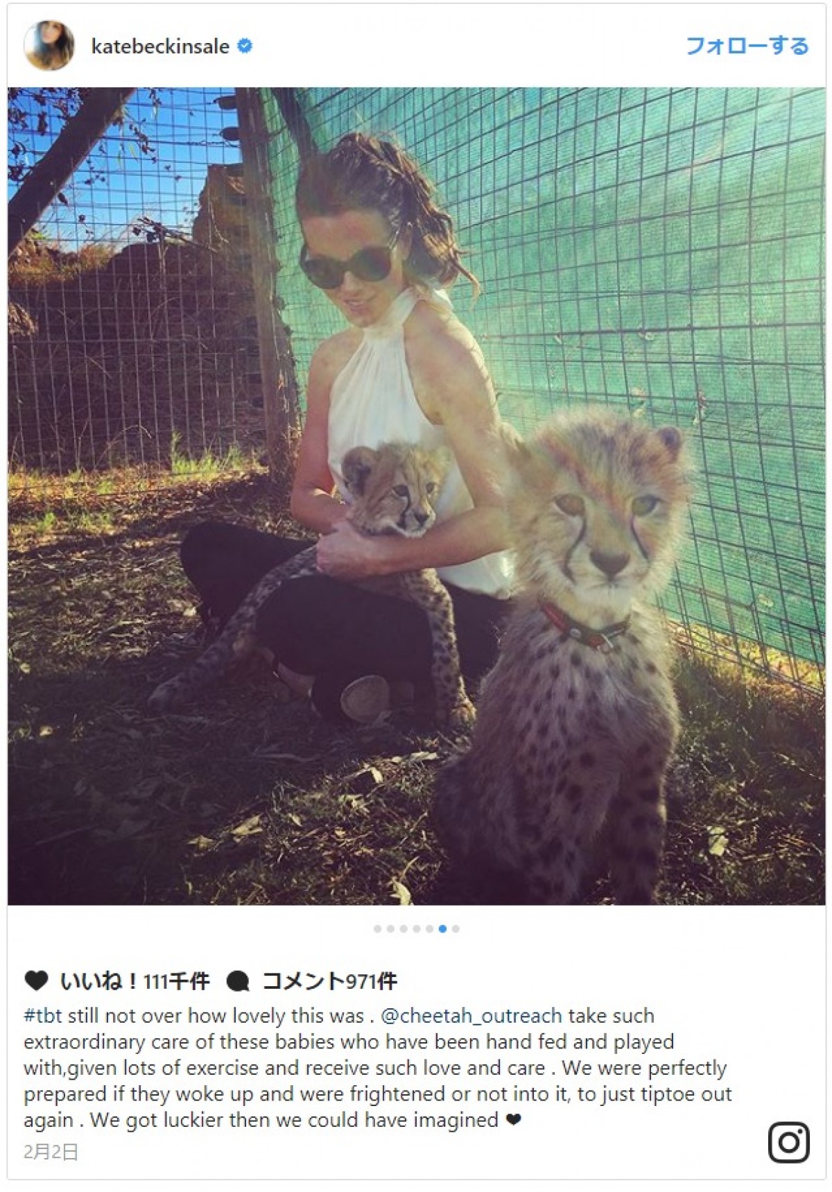 ケイト・ベッキンセイル、モフモフ動物に囲まれながら、セクシーな胸元で餌やりタイム