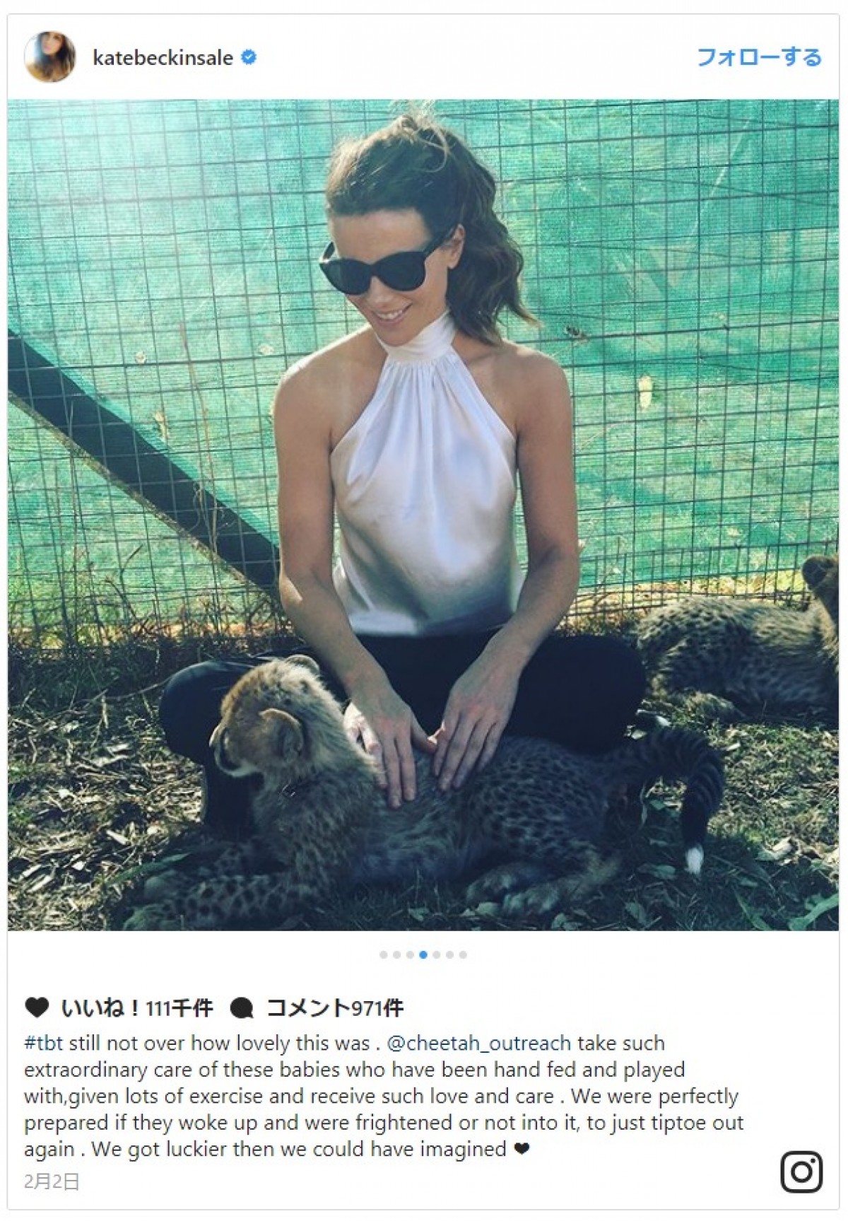 ケイト・ベッキンセイル、モフモフ動物に囲まれながら、セクシーな胸元で餌やりタイム