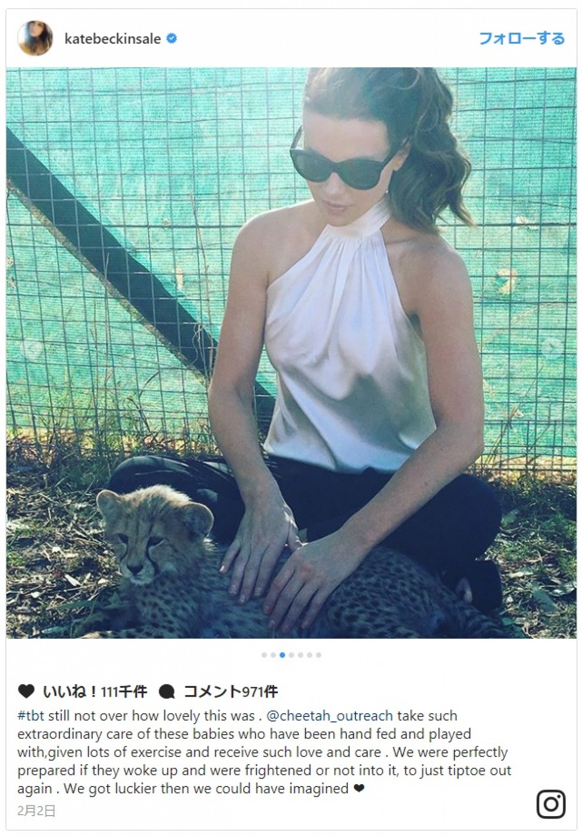 ケイト・ベッキンセイル、モフモフ動物に囲まれながら、セクシーな胸元で餌やりタイム