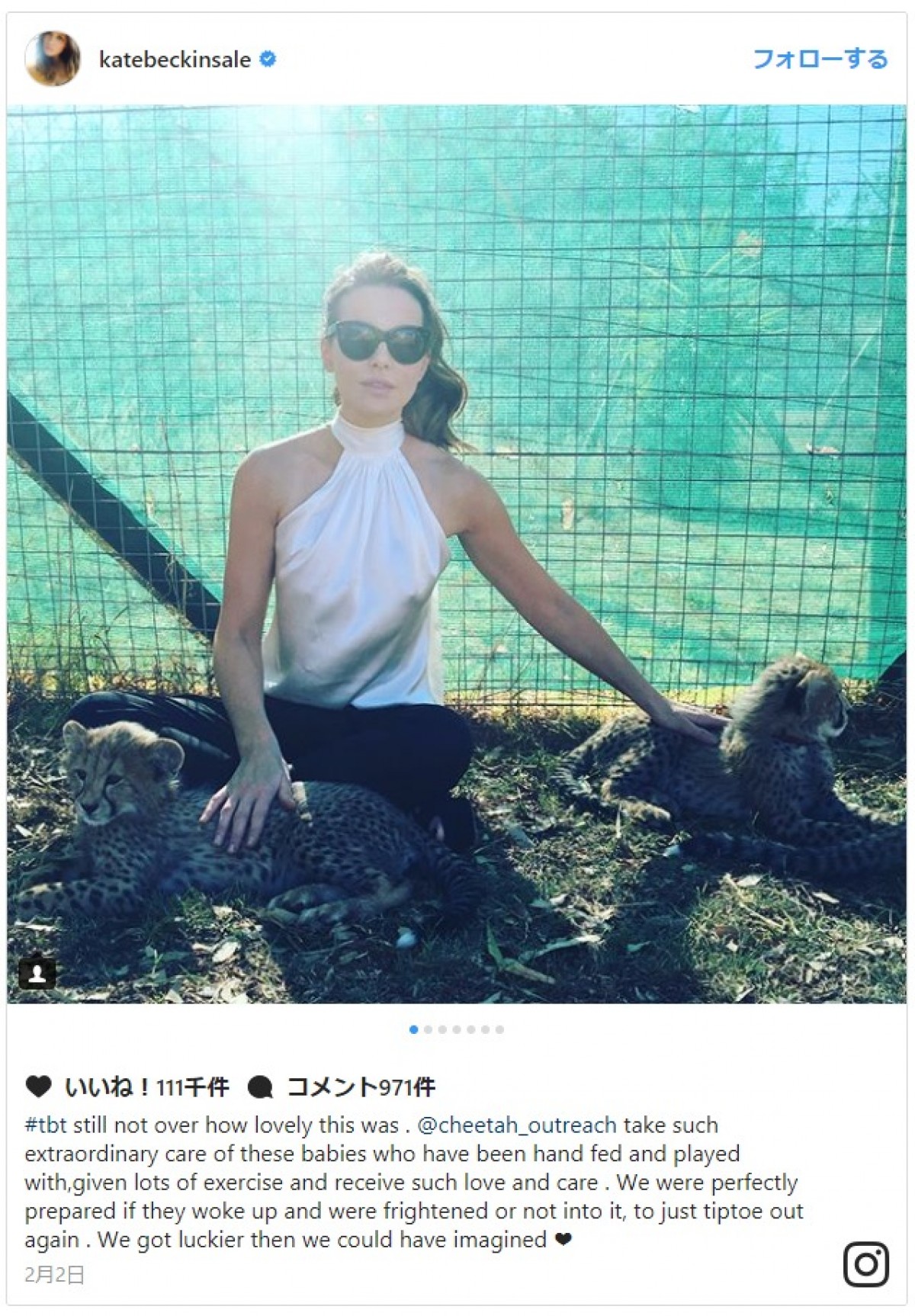 ケイト・ベッキンセイル、モフモフ動物に囲まれながら、セクシーな胸元で餌やりタイム