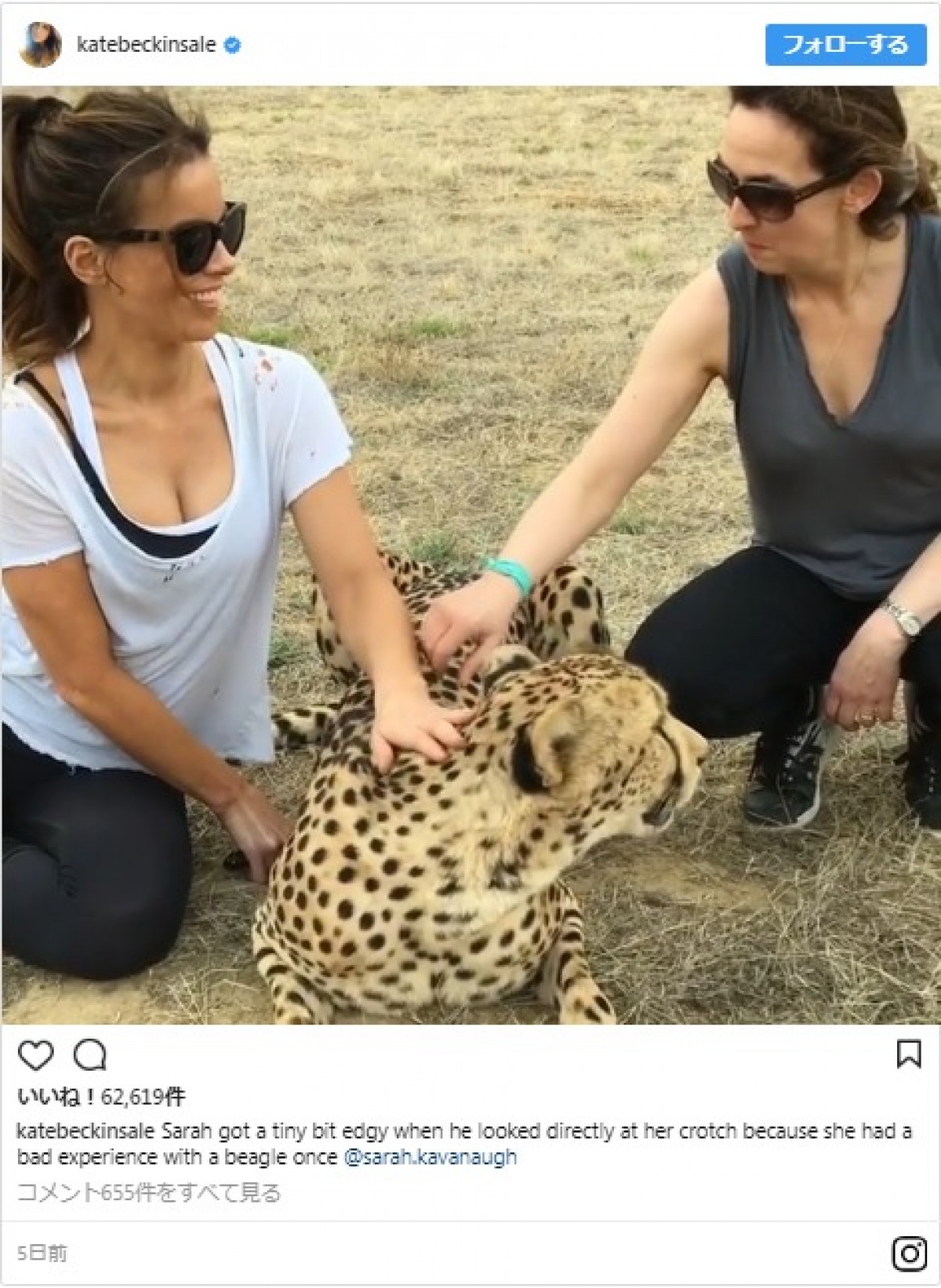 ケイト・ベッキンセイル、モフモフ動物に囲まれながら、セクシーな胸元で餌やりタイム