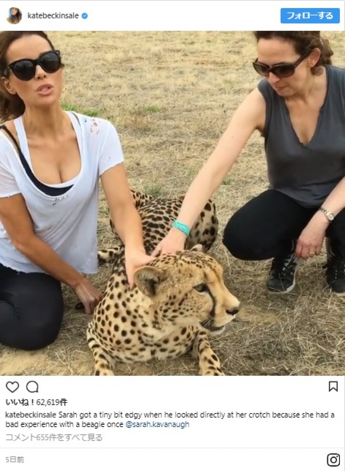 ケイト・ベッキンセイル、モフモフ動物に囲まれながら、セクシーな胸元で餌やりタイム