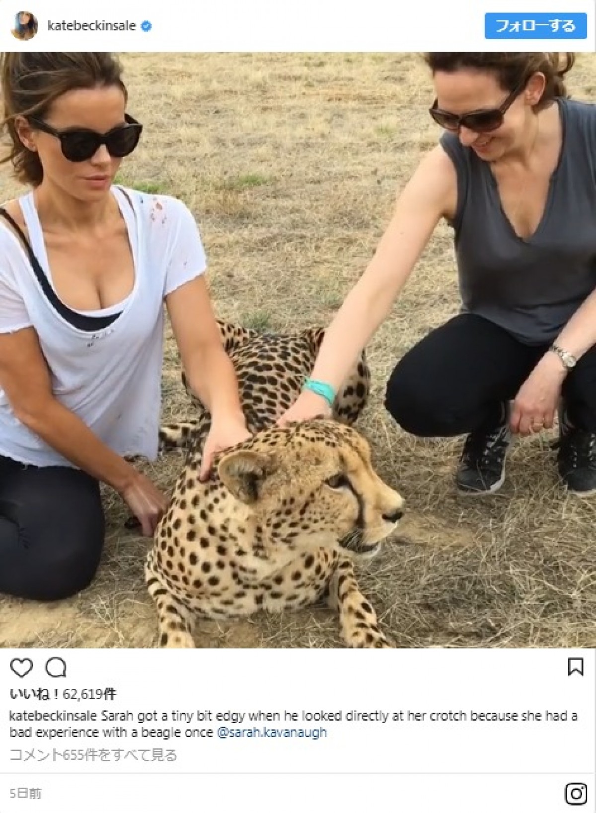 ケイト・ベッキンセイル、モフモフ動物に囲まれながら、セクシーな胸元で餌やりタイム