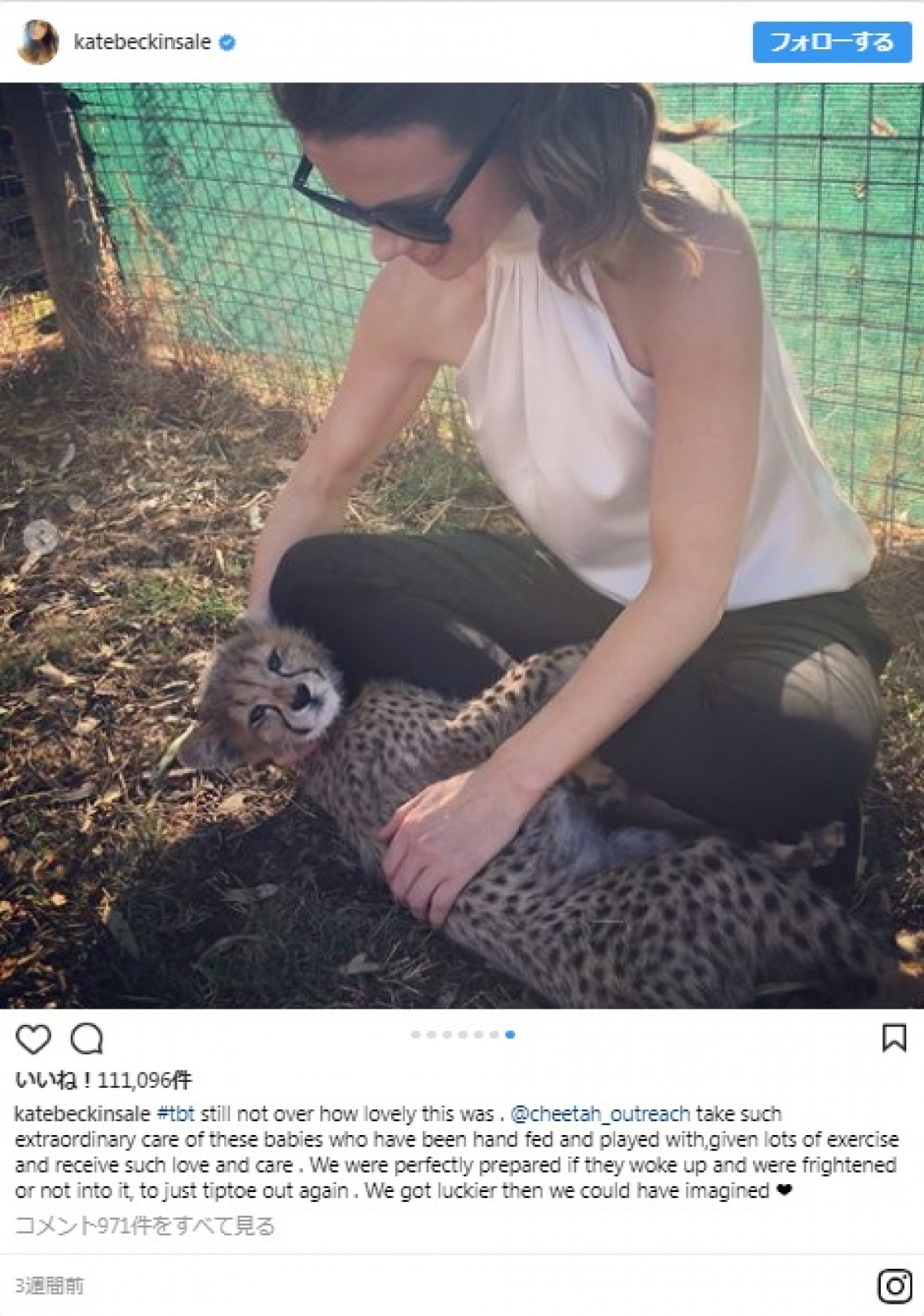 ケイト・ベッキンセイル、モフモフ動物に囲まれながら、セクシーな胸元で餌やりタイム
