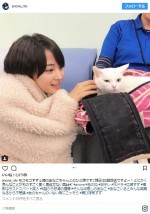 広瀬すずとネコのあなごちゃんの癒やしツーショットに反響　※ドラマ『anone』インスタグラム