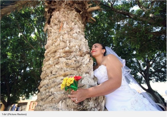 女性たちが“木”と結婚！「木を守りたいから」　※海外メディア「METRO」スクリーンショット