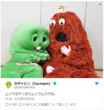 ガチャピンとムック、仲良しショット　※「ガチャピン」ツイッター