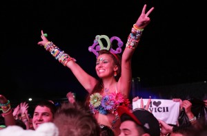 アヴィーチーのライブの様子