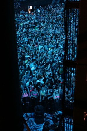 アヴィーチーのライブの様子