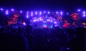 アヴィーチーのライブの様子