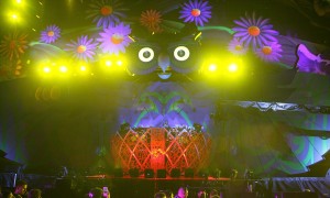 アヴィーチーのライブの様子