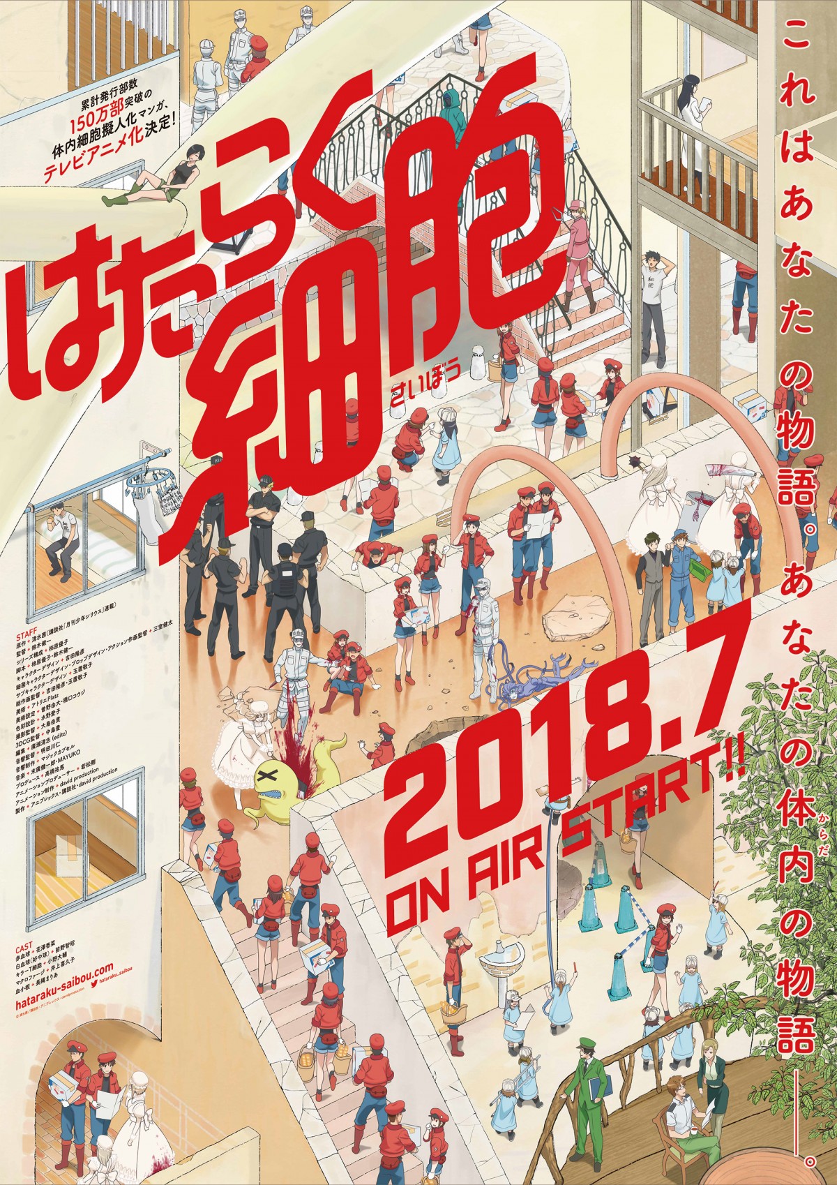 櫻井孝宏、早見沙織ら人気声優4名『はたらく細胞』出演決定