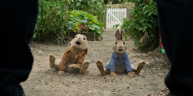 ウサギのピーターが トム クルーズに負けないアクションを見せる 18年4月29日 映画 ニュース クランクイン