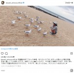 ※「有村架純」インスタグラム